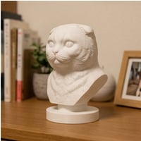 スコティッシュフォールドの3Dプリント胸像 白PLA 彫刻 置物 インテリア