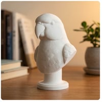 インドオオハナインコの3Dプリント胸像 白PLA 彫刻 置物 インテリア