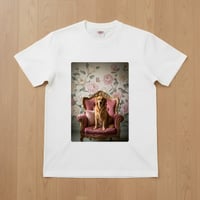 ゴールデンレトリバー半袖Tシャツ ロココ調シャビーピンク ホワイト 男女兼用