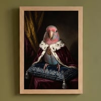 インコ（アキクサインコ）のルネサンス風肖像画 A4額装インテリア壁掛け