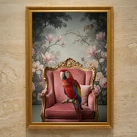 インコ（コンゴウインコ）のロココ調シャビーピンクアート A3額装インテリア壁掛け