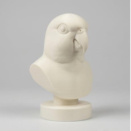 ズグロシロハラインコの3Dプリント胸像 白PLA 彫刻 置物 インテリア