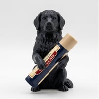 バーニーズマウンテンドッグのリップケース 3Dプリント シルクブラック
