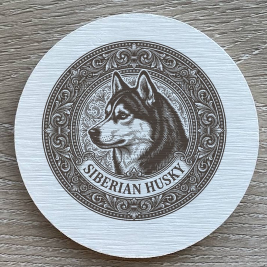 6a55bd463b49381517fe05f9