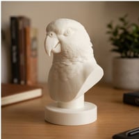 インコ（キエリボウシインコ）の3Dプリント胸像 白PLA 彫刻 置物 インテリア