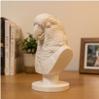 インコ（タイハクオウム）の3Dプリント胸像 白PLA 彫刻 置物 インテリア