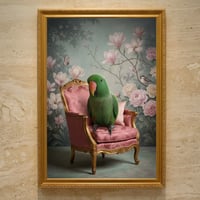 インコ（オオハナインコ）のロココ調シャビーピンクアート A3額装インテリア壁掛け