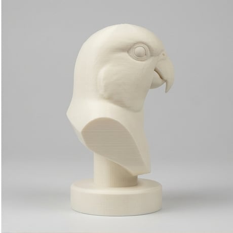 ズグロシロハラインコの3Dプリント胸像 白PLA 彫刻 置物 インテリア