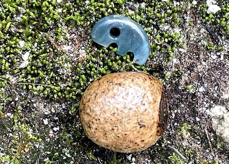 糸魚川ネフライト　獣型勾玉　深緑・青緑　27mm / Itoigawa Nephrite Beast-Shaped MAGATAMA