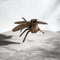 The Swift King -Dragon Fly-