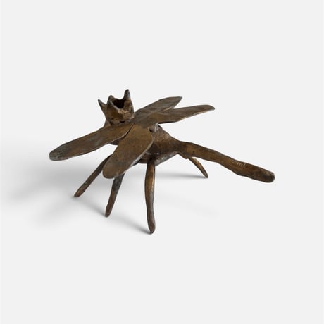 The Swift King -Dragon Fly-