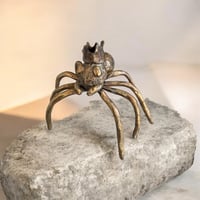 The Silent King -Spider-