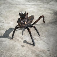 The Leaping King -Grasshopper-