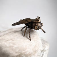 The Golden Queen -Bee-