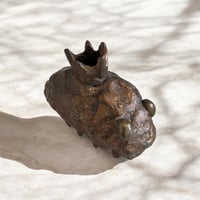 The Humble King -Pill bug-
