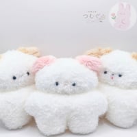 ほわほわわんちゃん