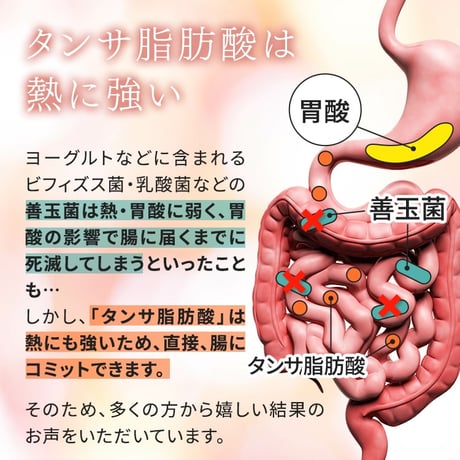 定期便20%OFF 魔法のTANSA409 ベリー 1000ml