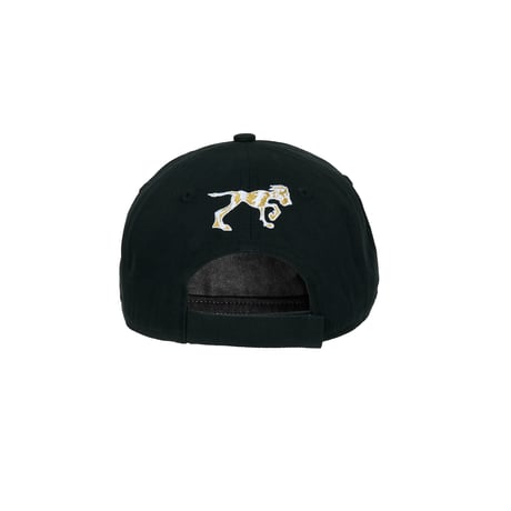 POSA G FONT 5-PANEL CAP BLACK
