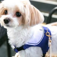 セーラー服デザインハーネス　Marine　ネイビー