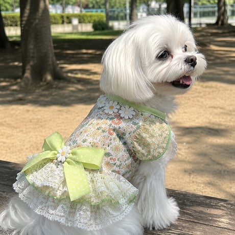 2段のフリルレースが可愛い小花柄ワンピース