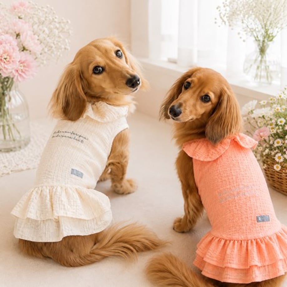 6a82aea202ecc312acc7e4d6