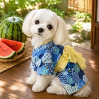 レトロさを感じるカッコカワイイ甚平