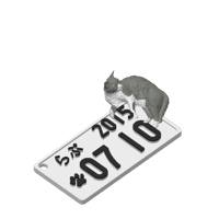 【らぷちゃん専用】うちの子ナンバープレート｜3D立体