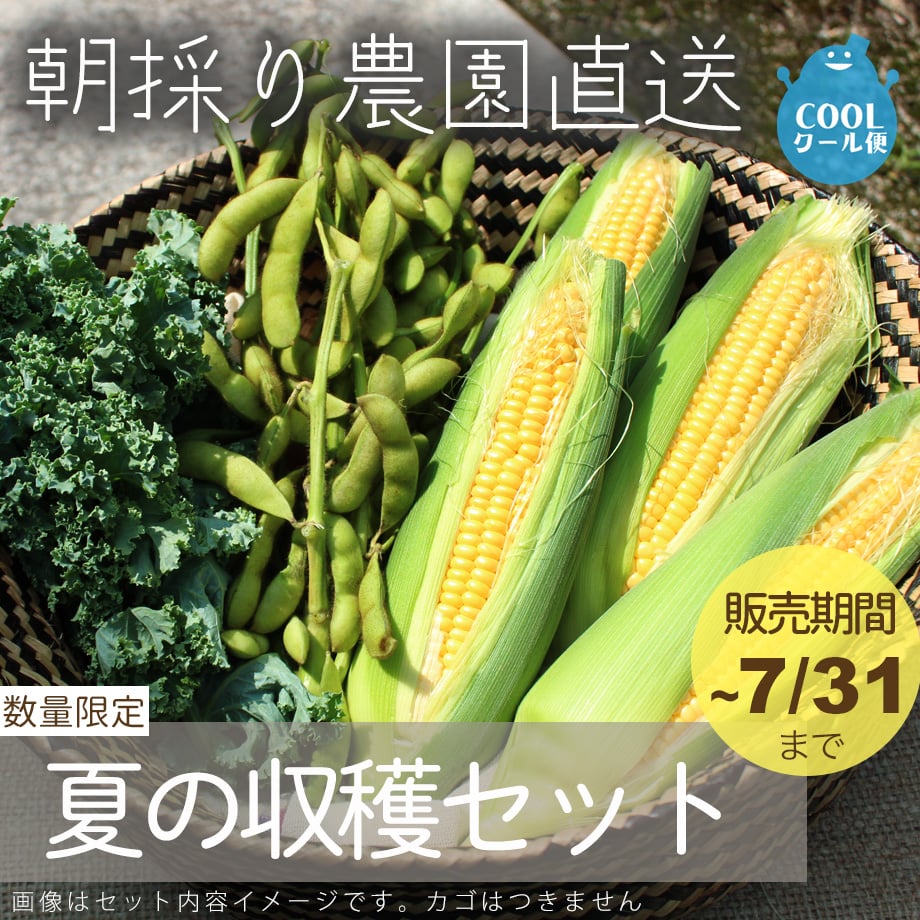 6a4744e2700833151ddf77fe