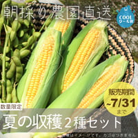 【農園直送】朝採り夏の収穫2種セット　※税込・送料込
