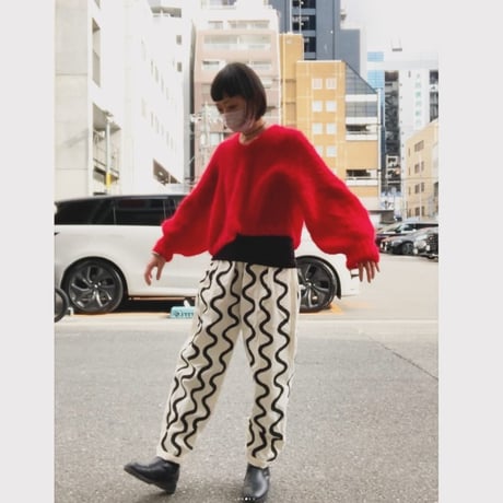 AIMAL Taylorニョロニョロpants