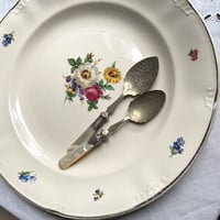 ベルギー花柄大皿