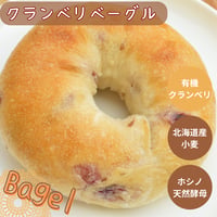 クランベリーベーグル