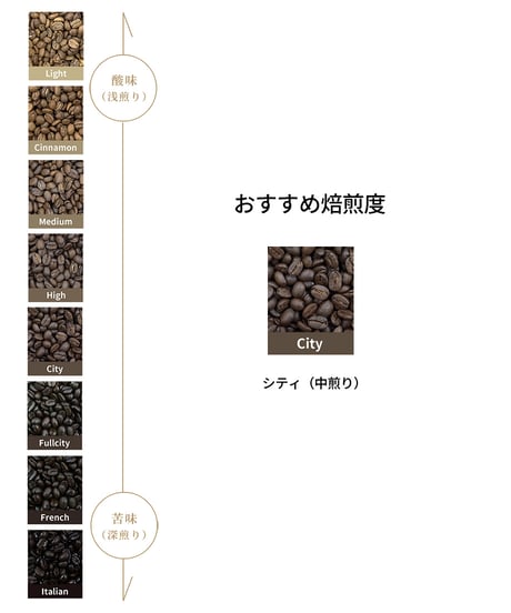 コロンビアSPの水出しコーヒー3個セット