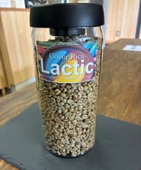 コスタリカ ラクティック アナエロビック タラス ハニー（200g）