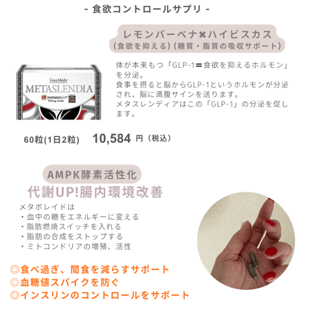 メタスレンディア(60粒)