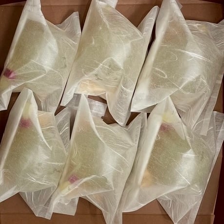 ぷっちん本わらび餅　6個入り