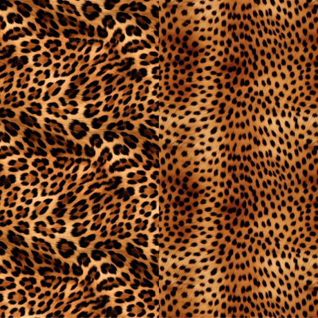 reo cheetah