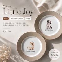Little Joy