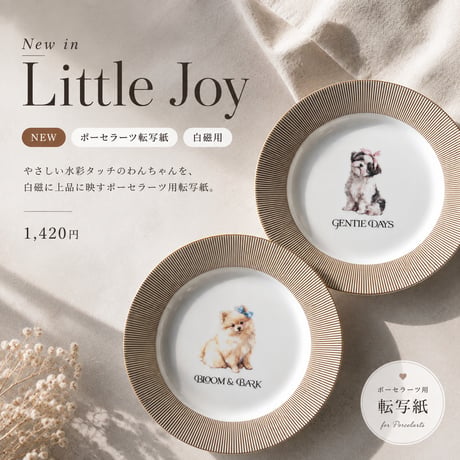 Little Joy