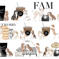 Fam Collection
