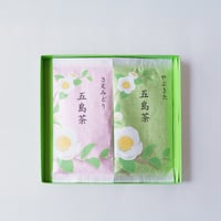 五島茶2種詰合せ(さえみどり・やぶきた)