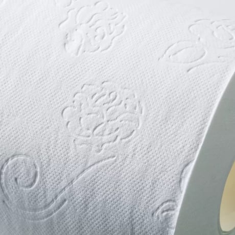 トイレットペーパー 2パック (12ロール入り)