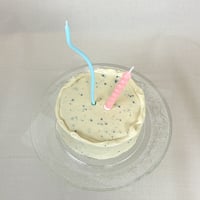 【OPEN記念限定】Limited Cake
