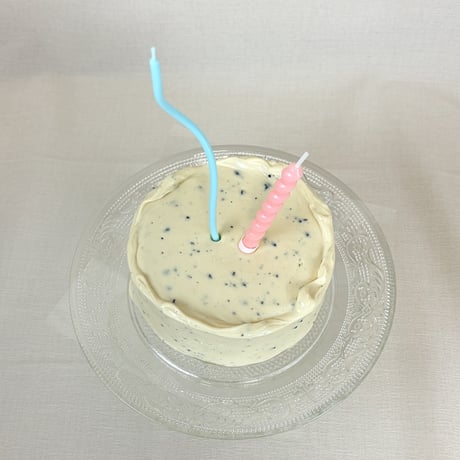 【OPEN記念限定】Limited Cake