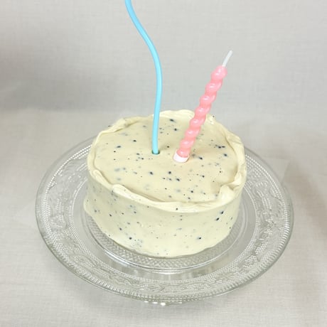 【OPEN記念限定】Limited Cake