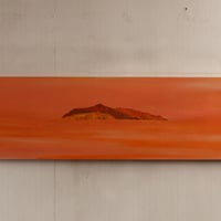 long field #20