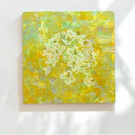 菜の花 | STORES
