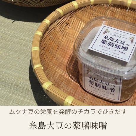 【定期便】大地のムクナ 糸島大豆の薬膳味噌 850ｇ