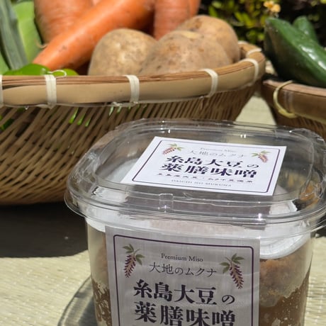 【数量限定仕込み】 大地のムクナ 糸島大豆の薬膳味噌 850g