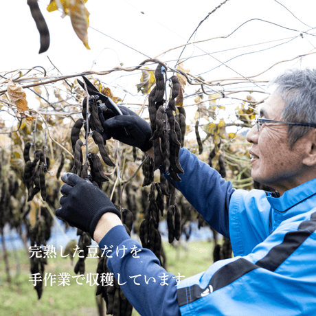 【定期便】大地のムクナ 焙煎きな粉 280g